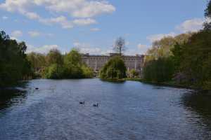ST-JAMES-PARK (26)